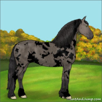 Horse Color:Void White Spotted Smoky Grullo Roan 
