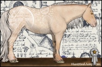 Horse Color:Silver Classic Champagne Roan 