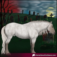 Horse Color:Silver Grullo Roan Rabicano