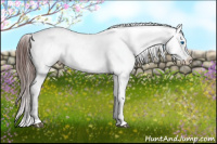 Horse Color:Chocolate Brown Splash Tobiano Appaloosa 