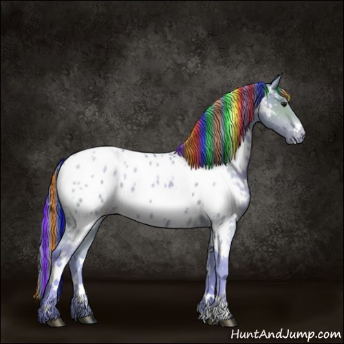 Horse Color:Painted Watercolor White Spotted Brown Pearl Appaloosa 