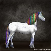 Horse Color:Painted Watercolor White Spotted Brown Pearl Appaloosa 