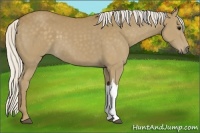 Horse Color:Silver Smoky Black 