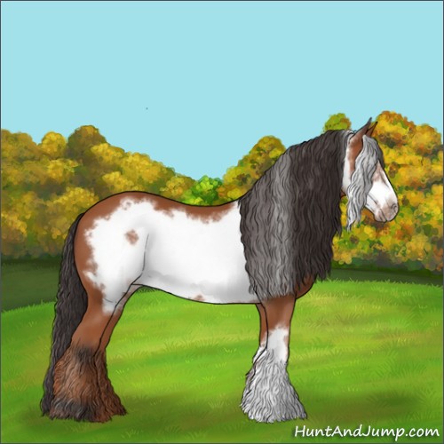 Horse Color:Bay Frame 