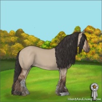 Horse Color:Bay Dun 