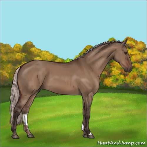 Horse Color:Silver Brown Dun 