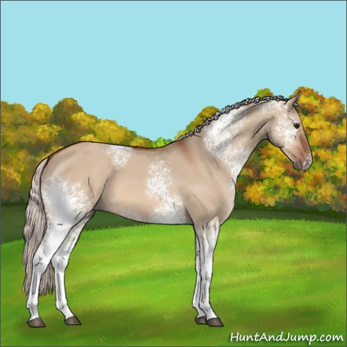 Horse Color:White Spotted Silver Bay Dun 