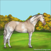 Horse Color:White Spotted Silver Bay Dun 