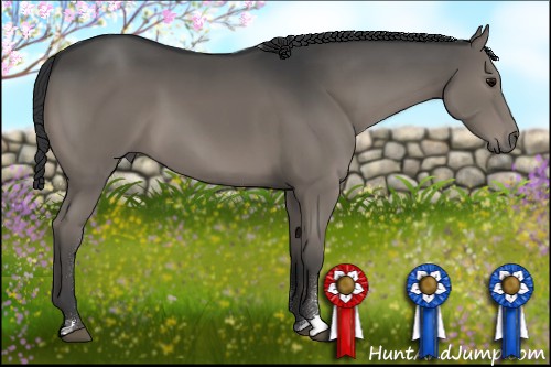 Horse Color:Black Sabino