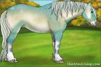 Horse Color:Watercolor Silver Bay Roan Onyx 