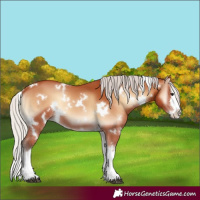 Horse Color:White Spotted Silver Bay Onyx Splash