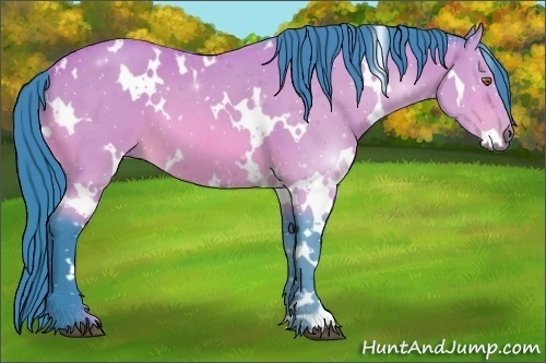 Horse Color:Watercolor White Spotted Bay 