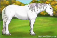 Horse Color:Nacre White Spotted Silver Blue Onyx Appaloosa 