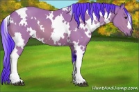 Horse Color:Watercolor White Spotted Bay 