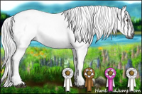 Horse Color:Gray Chestnut Rabicano 