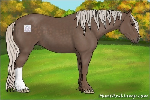 Horse Color:Silver Black