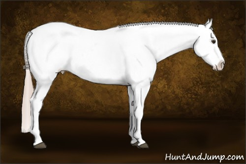 Horse Color:Chocolate Palomino Varnish 