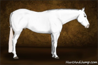 Horse Color:Chocolate Palomino Varnish 