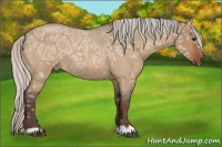 Horse Color:Silver Bay Ice Roan Dun 