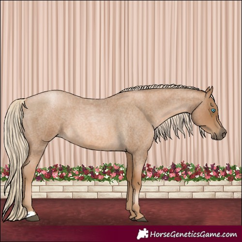 Horse Color:Gray Red Roan Snowdrop Pearl