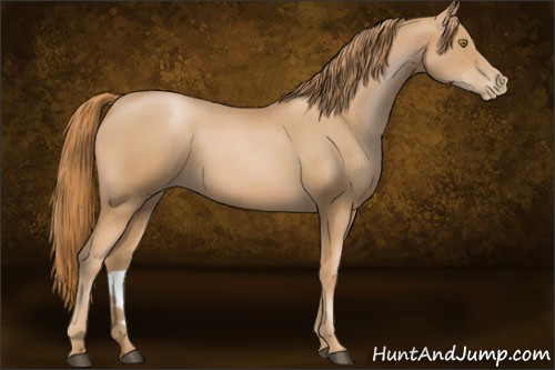 Horse Color:Chestnut Pearl 
