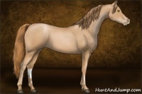 Horse Color:Chestnut Pearl