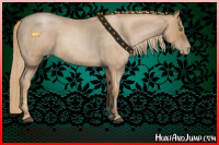 Horse Color:Red Roan Pearl 