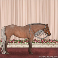 Horse Color:Silver Bay Roan 