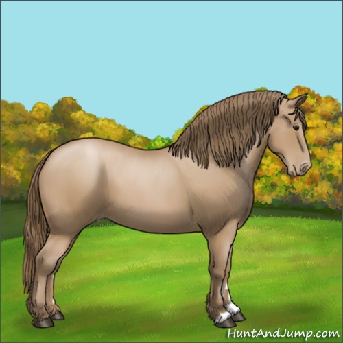 Horse Color:Black Pearl 