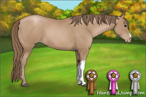 Horse Color:Black Pearl