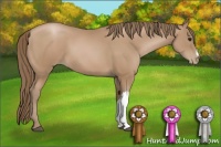Horse Color:Black Pearl
