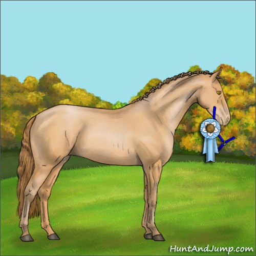 Horse Color:Bay Pearl 