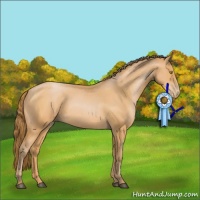 Horse Color:Bay Pearl 
