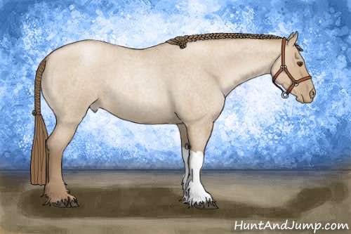 Horse Color:Grullo Roan Pearl 