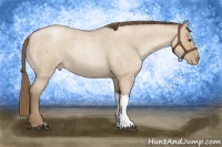 Horse Color:Grullo Roan Pearl 