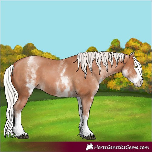 Horse Color:White Spotted Silver Brown Pearl Splash