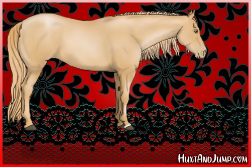 Horse Color:Chestnut Pearl 
