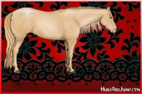 Horse Color:Chestnut Pearl