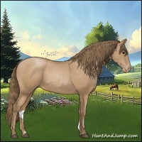 Horse Color:Black Pearl