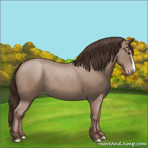 Horse Color:Classic Champagne 