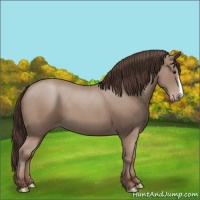 Horse Color:Classic Champagne 
