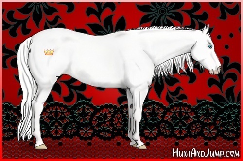 Horse Color:Silver Smoky Creme Dun 
