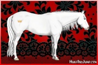 Horse Color:Silver Smoky Creme Dun