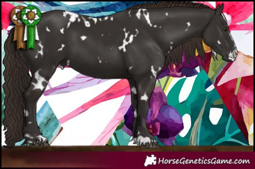 Horse Color:White Spotted Liver Chestnut 