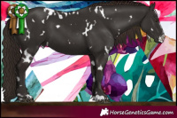 Horse Color:White Spotted Liver Chestnut 