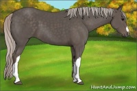 Horse Color:Silver Black 