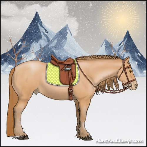 Horse Color:Bay Pearl 