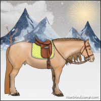 Horse Color:Bay Pearl 