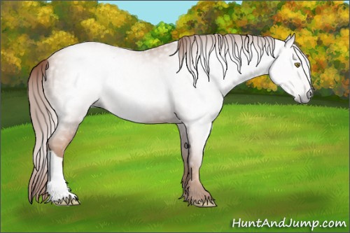 Horse Color:Gray Gold Champagne 