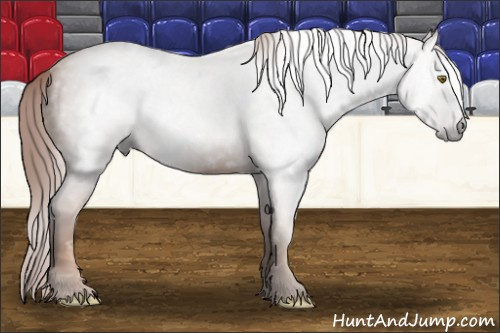 Horse Color:Gray Gold Champagne 